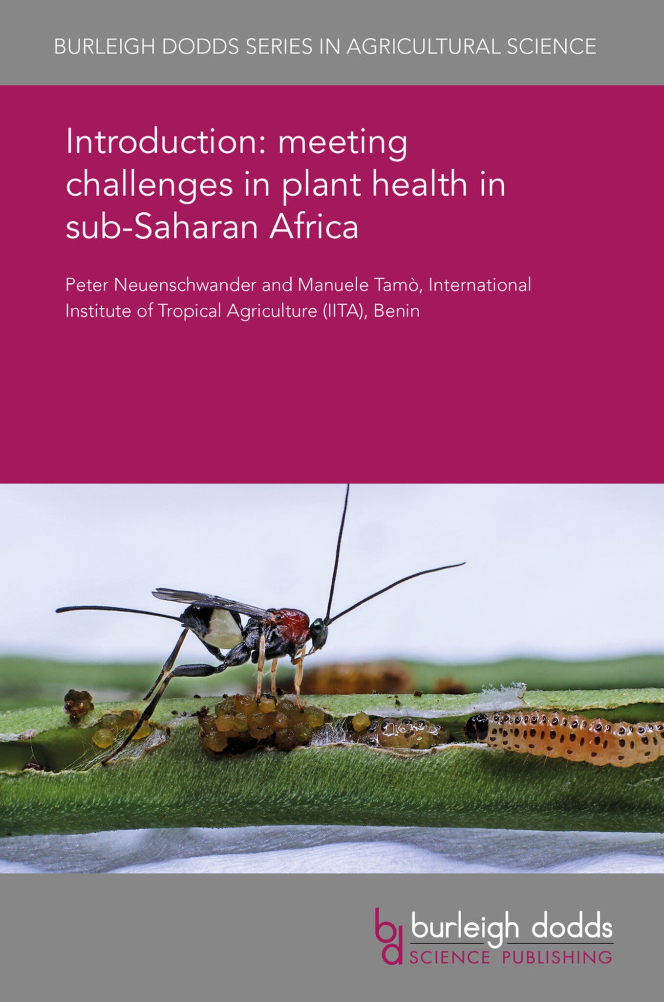 Cover image for Introduction: meeting challenges in plant health in sub-Saharan Africa ISBN 9781838797508
